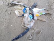 /images/about-meissa/03plastik-aktion/plastic-findings/2023_08_03.jpg