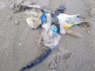 /images/about-meissa/03plastik-aktion/plastic-findings/2023_08_03.jpg