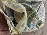 /images/about-meissa/03plastik-aktion/plastic-findings/2023_10_25_h.jpg