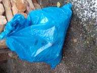 /images/about-meissa/03plastik-aktion/plastic-findings/2023_12_01.jpg