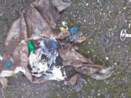 /images/about-meissa/03plastik-aktion/plastic-findings/2024_03_15.jpg