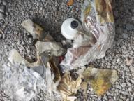 /images/about-meissa/03plastik-aktion/plastic-findings/2024_08_08.jpg