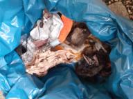 /images/about-meissa/03plastik-aktion/plastic-findings/2024_12_28.jpg