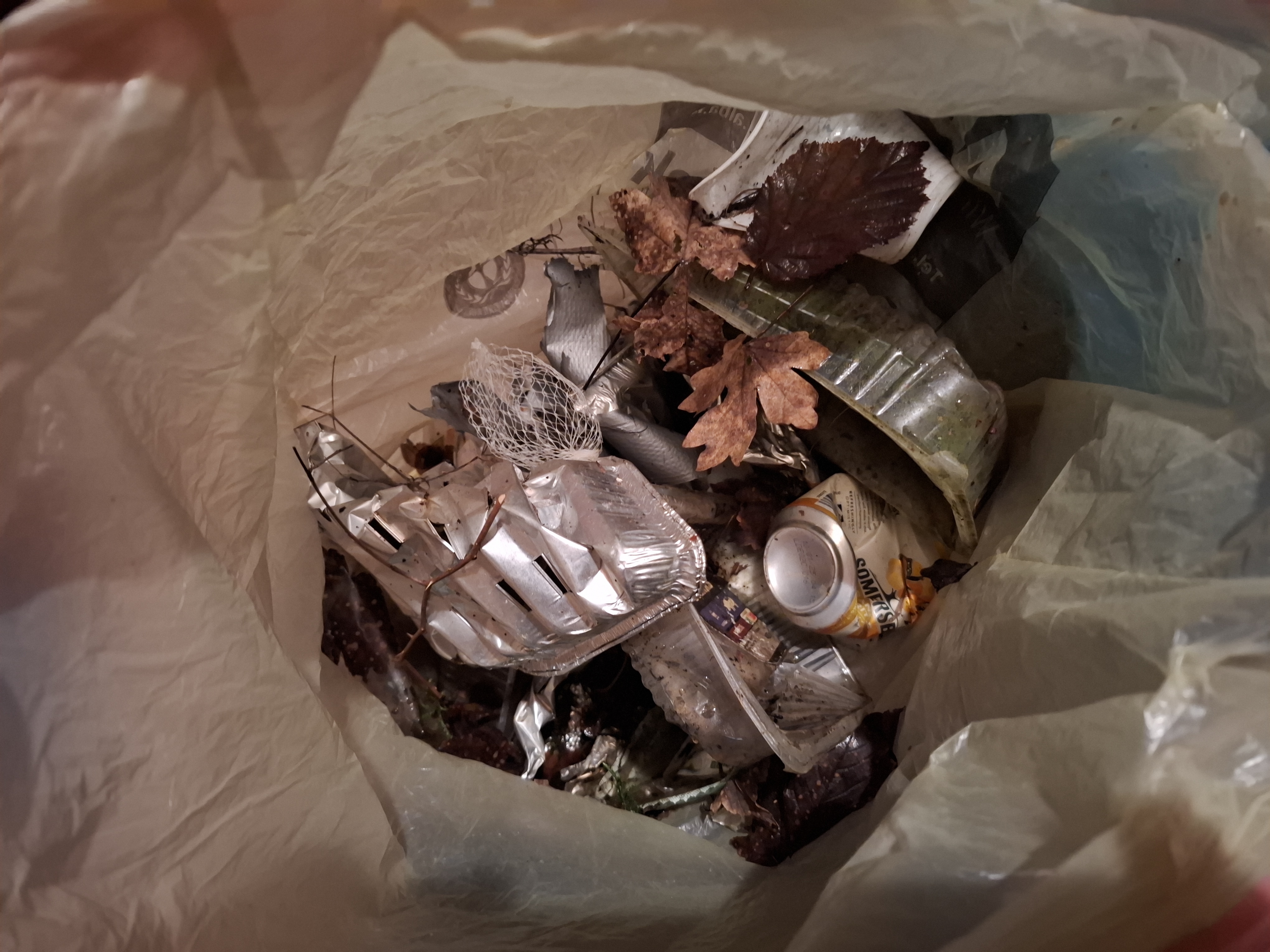 /images/about-meissa/03plastik-aktion/plastic-findings/2025_01_08.jpg
