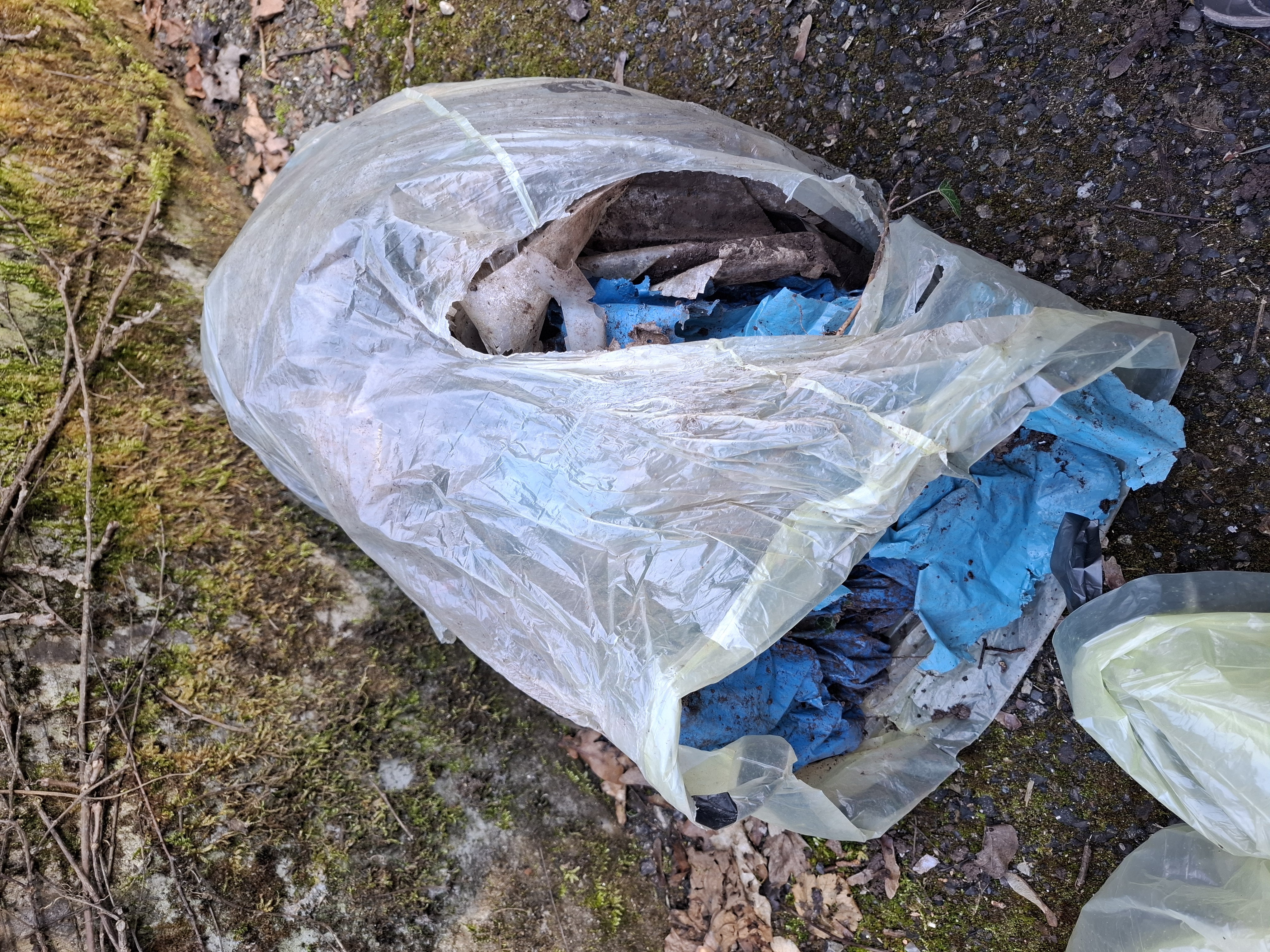 /images/about-meissa/03plastik-aktion/plastic-findings/2025_03_09.jpg