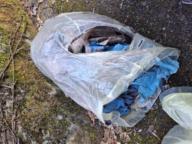 /images/about-meissa/03plastik-aktion/plastic-findings/2025_03_09.jpg