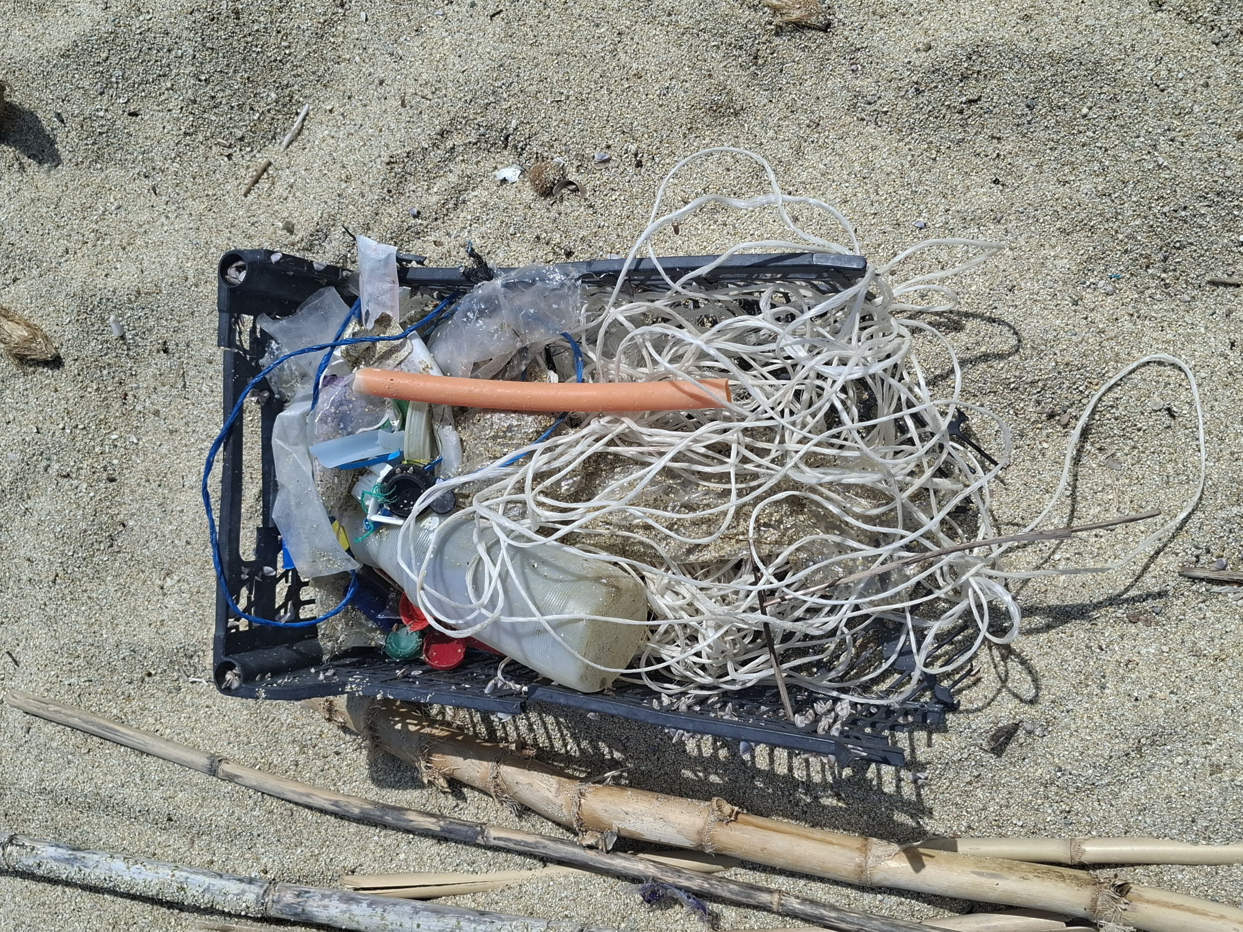 /images/about-meissa/03plastik-aktion/plastic-findings/2025_06_18.jpg