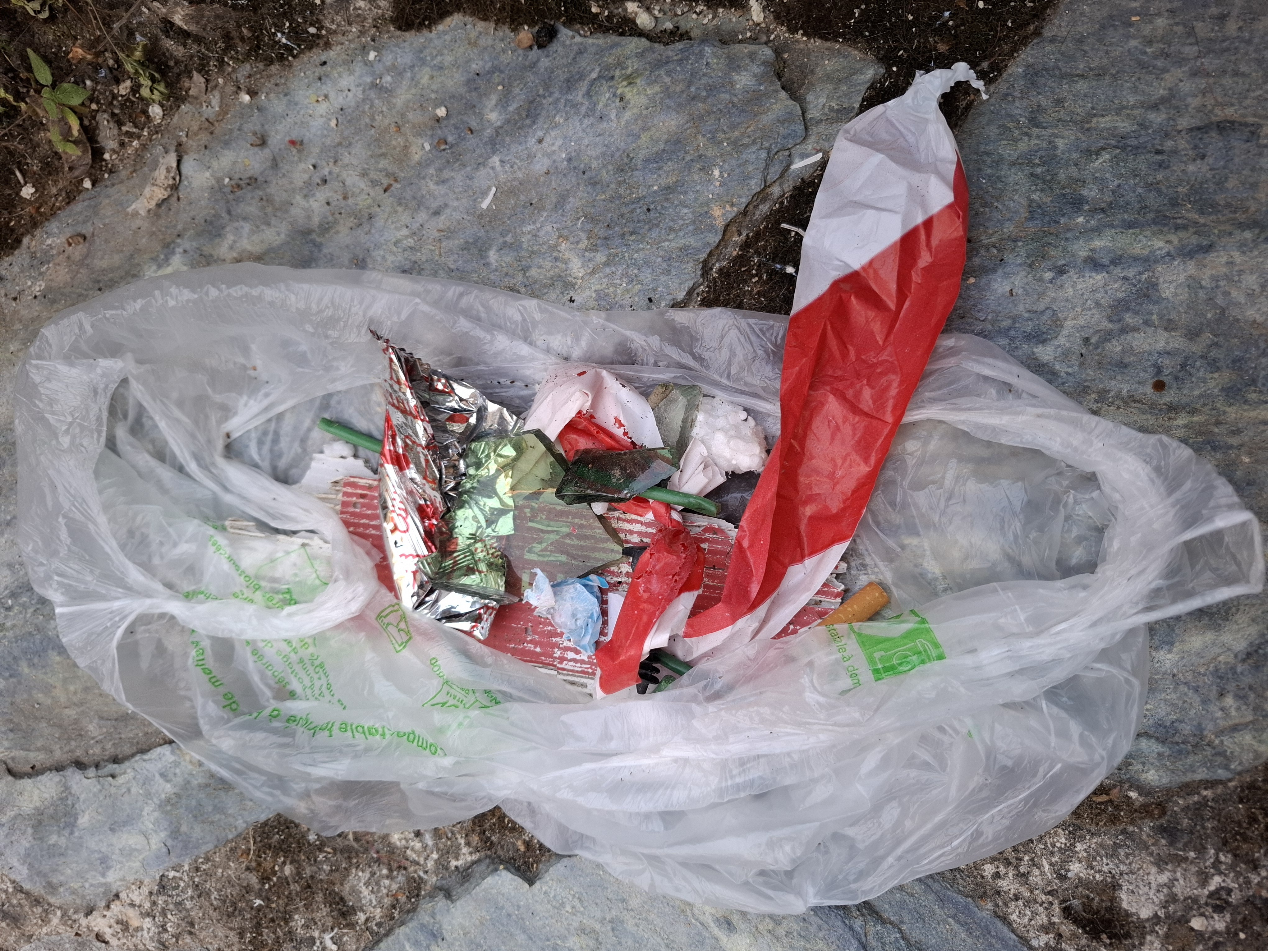 /images/about-meissa/03plastik-aktion/plastic-findings/2025_06_24.jpg