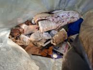 /images/about-meissa/03plastik-aktion/plastic-findings/2025_10_01_a.jpg